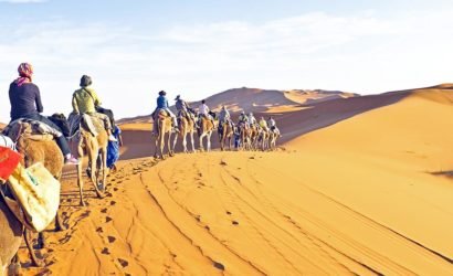 Ankhtours, Egypt desert safari