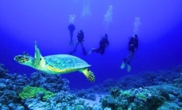 Ankhtours, Hurghada Red sea