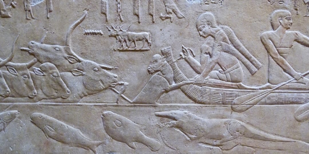 Ankhtours, wall carving on saqqara tomb walls