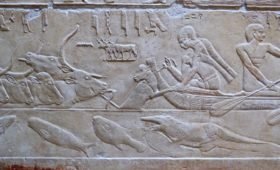 Ankhtours, wall carving on saqqara tomb walls