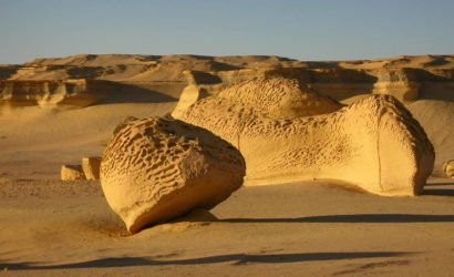 Ankhtours, fayoum oasis trip, the valley of the whales.