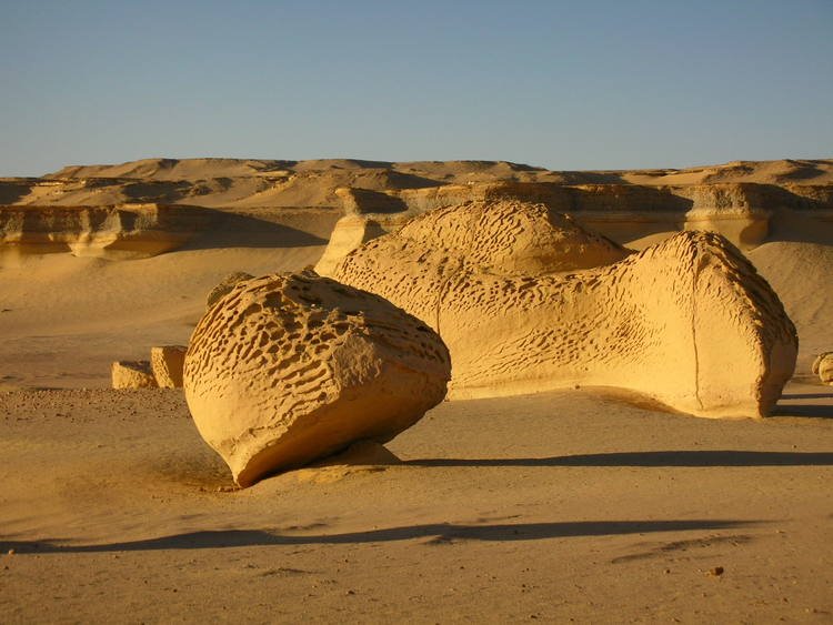 Ankhtours, fayoum oasis trip, the valley of the whales.