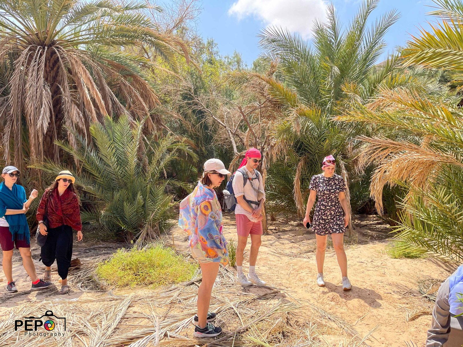 Ankhtours, desert safari